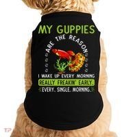 Koi Guppy Fish Guppies The Reason I Wake Up Endlers Guppy Doggie Tank thumb 0