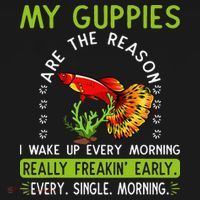 Koi Guppy Fish Guppies The Reason I Wake Up Endlers Guppy Women's Hoodie thumb 2
