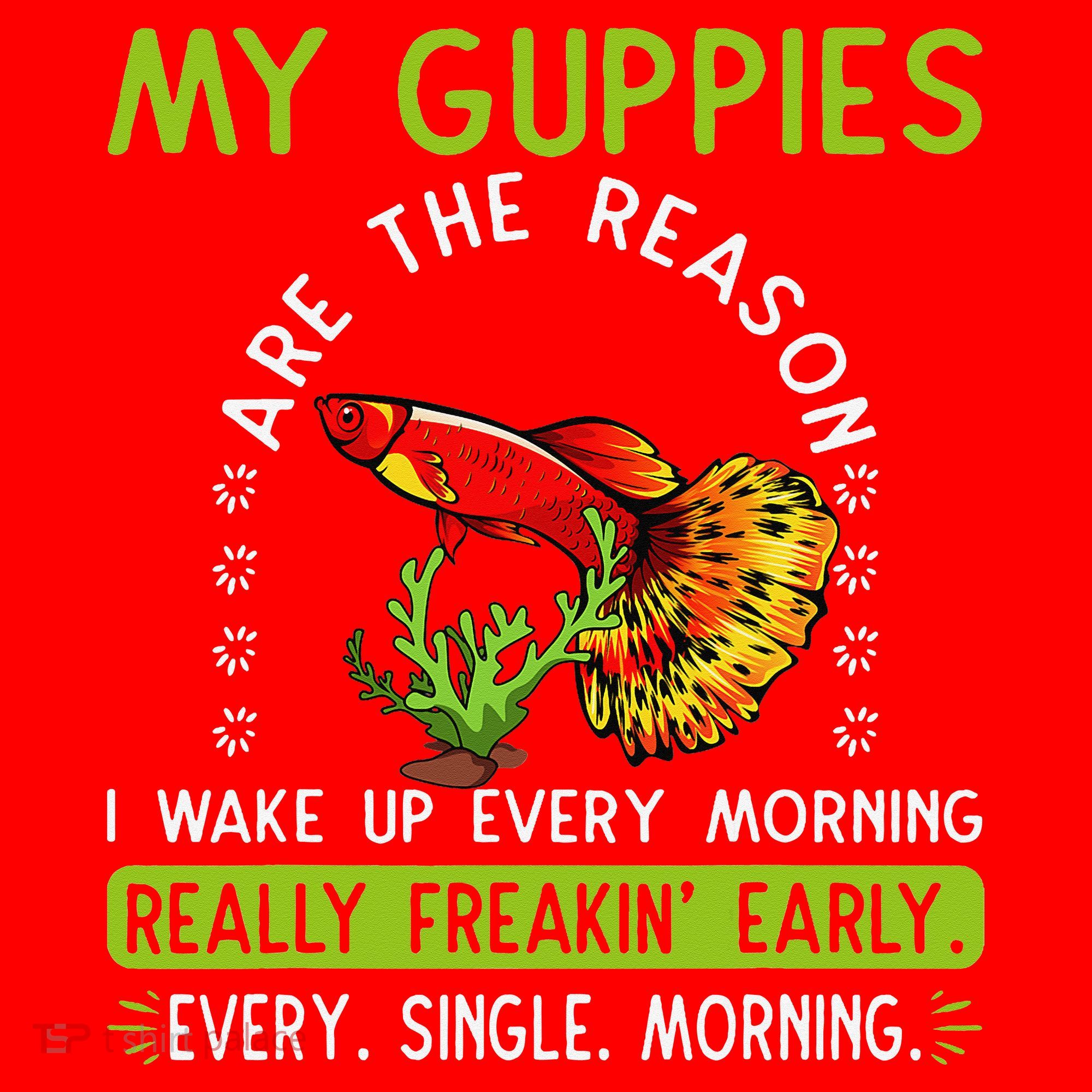 Koi Guppy Fish Guppies The Reason I Wake Up Endlers Guppy Santa Hat
