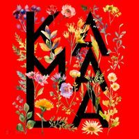 Kamala Harris 2024 Election Floral Flowers Santa Hat thumb 1