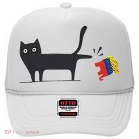 Kamala Harris 2024 Victory Black Cat Vs Gop Elephant Hat thumb 0