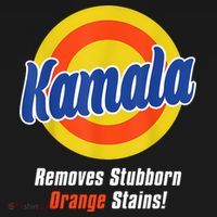 Kamala Harris 2024 Removes Stubborn Stains Funny Toddler Hoodie thumb 2
