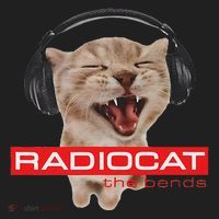 Kitten Headphones Cat Tech House Music Funny Cat Lover Beanie thumb 2