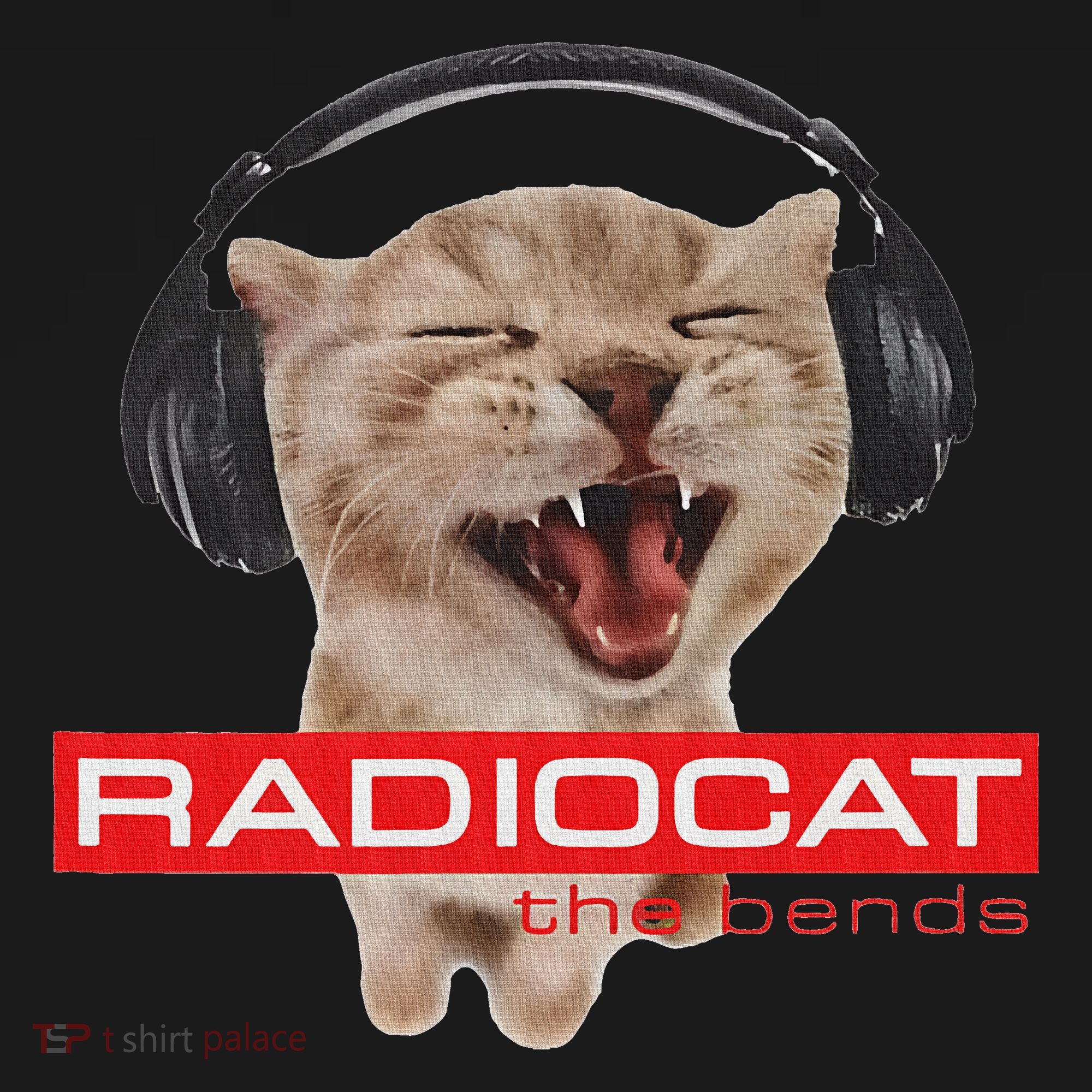 Kitten Headphones Cat Tech House Music Funny Cat Lover Women's Hoodie