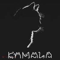 Kamala Harris Cat Lettering Positive Funny Hoodie thumb 7