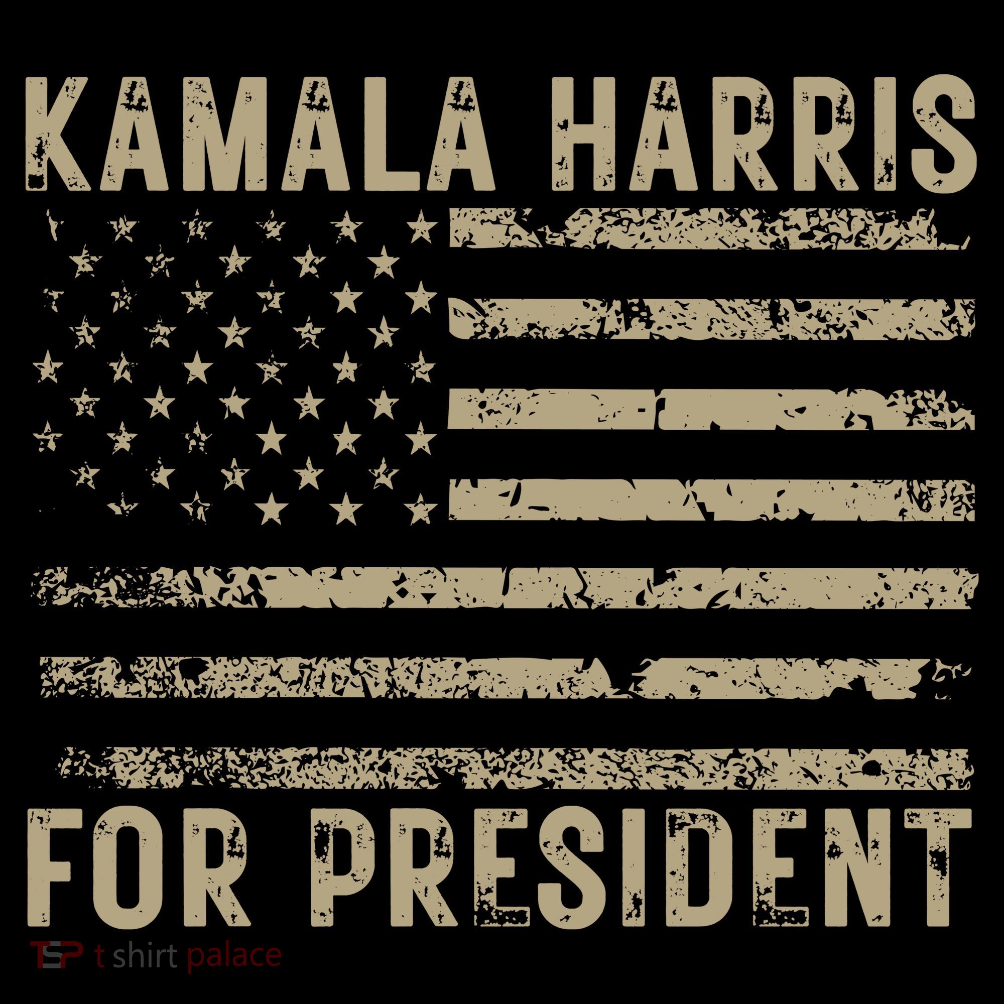 Kamala Harris For President 2024 Election Coaster