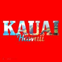 Kauai Hawaii Hawaii Hawaii Islands Surfing Surfer Gift Great Gift Santa Hat thumb 1