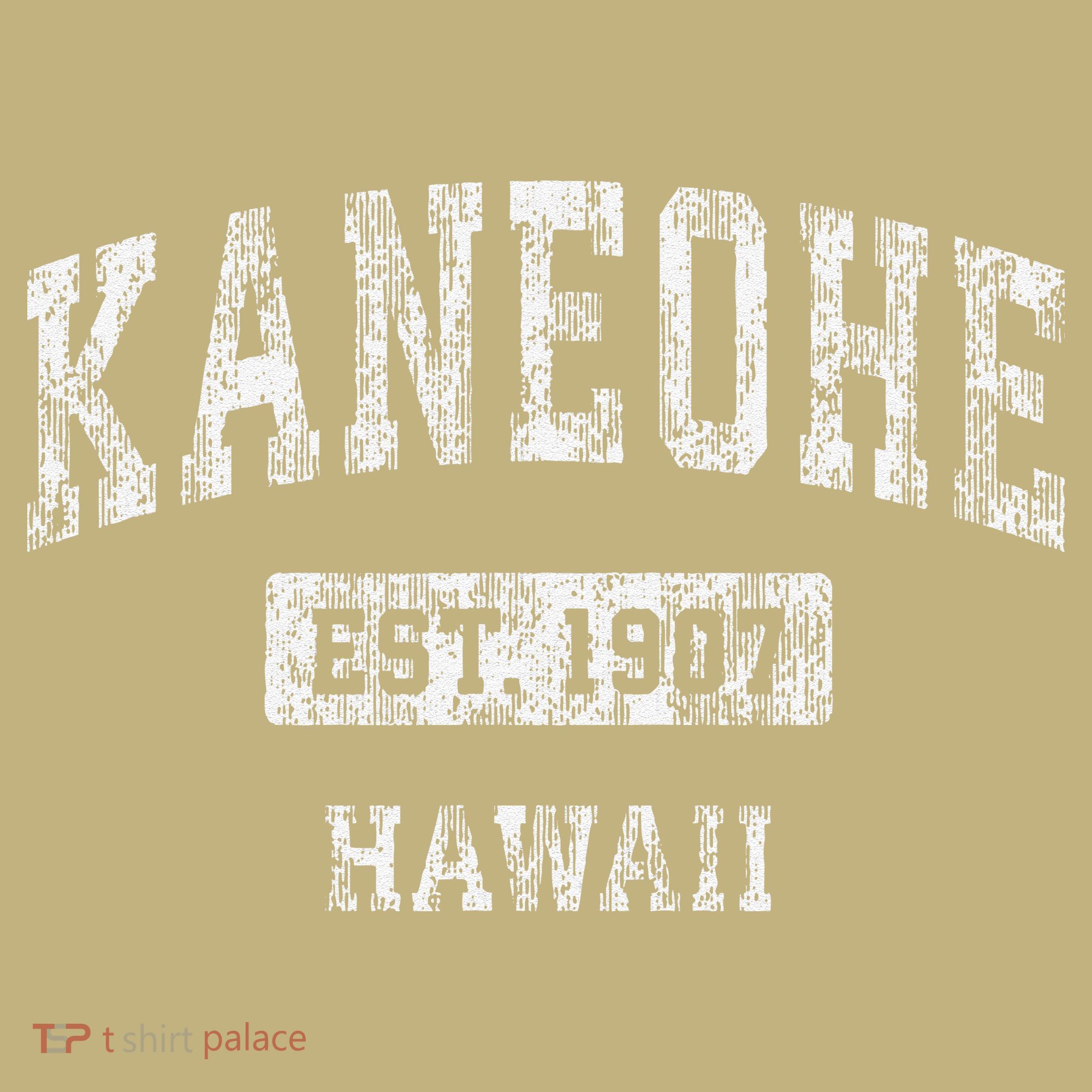 Kaneohe Hawaii Hi Vintage Established T-Shirt