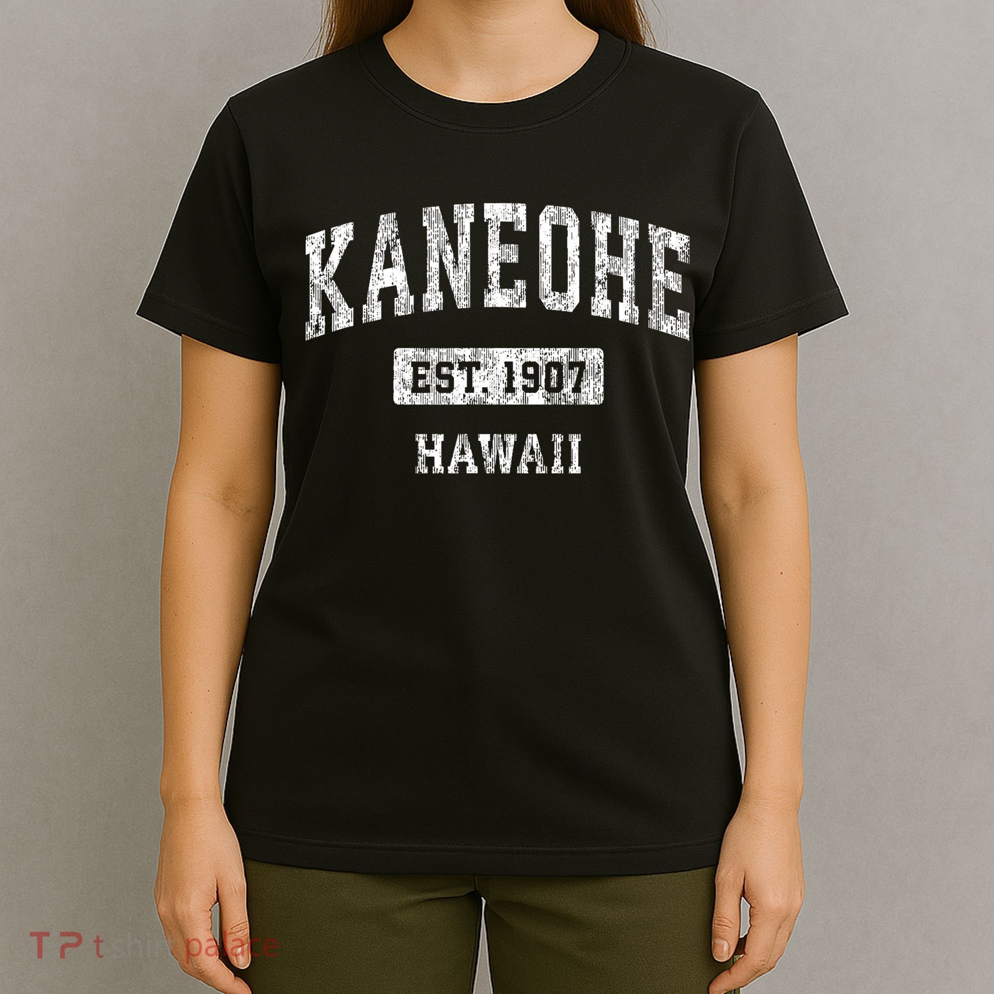 Kaneohe Hawaii Hi Vintage Sports Established T-Shirt
