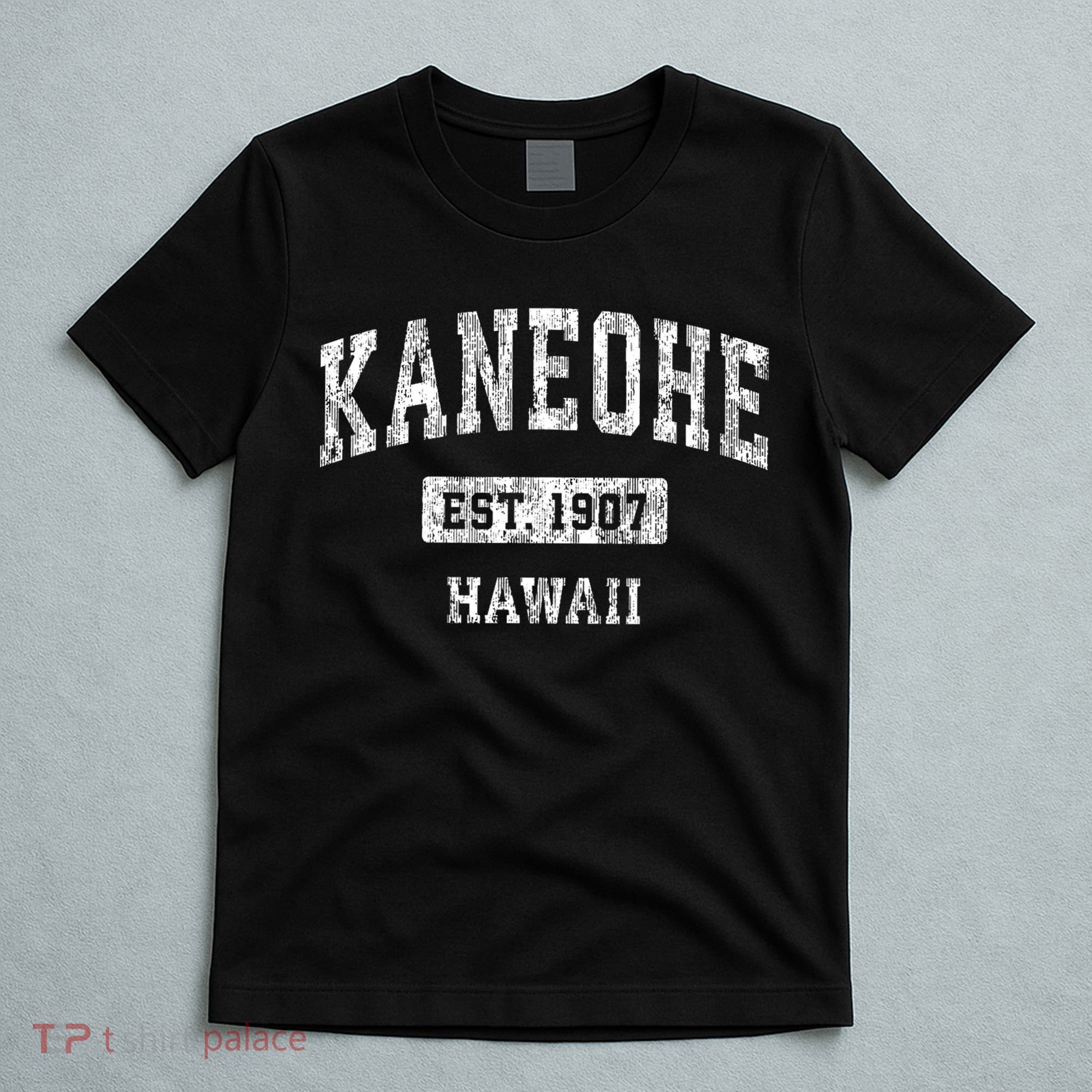 Kaneohe Hawaii Hi Vintage Sports Established T-Shirt