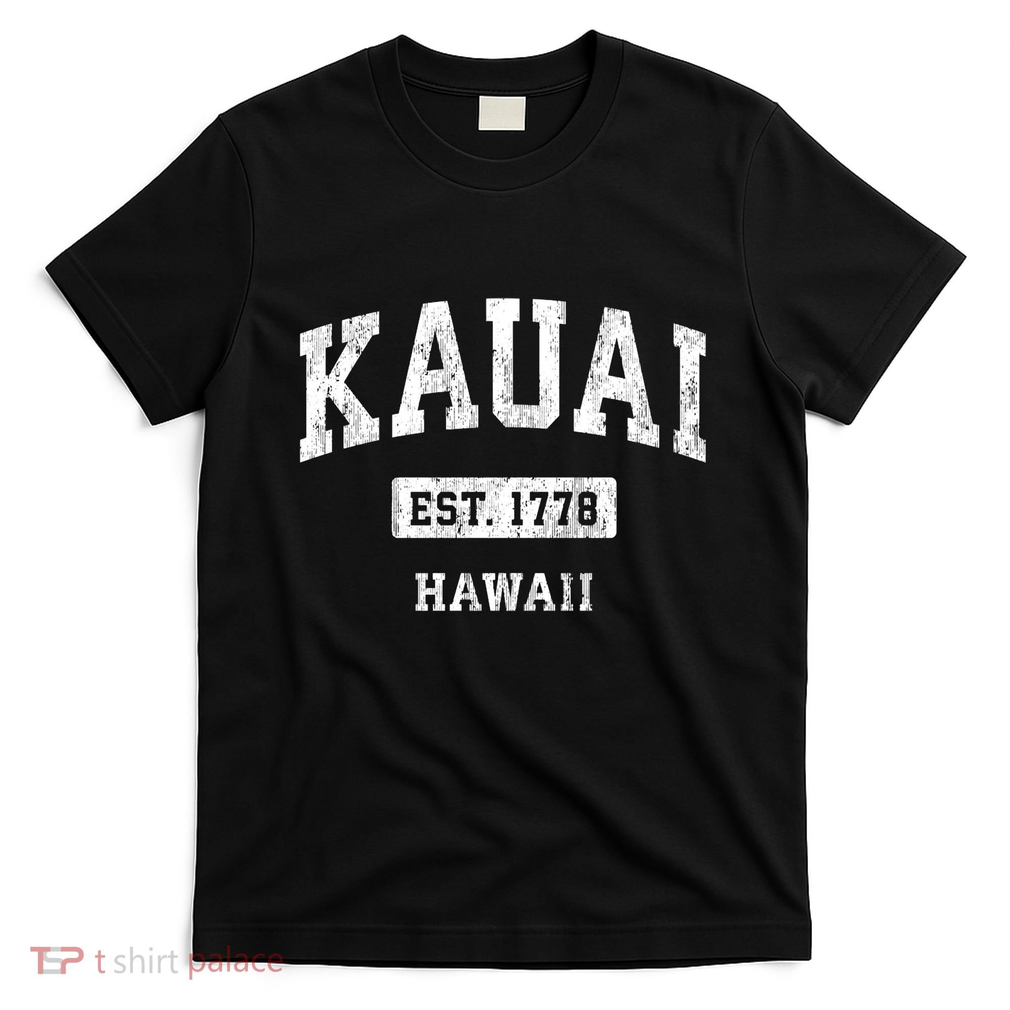 Kauai Hawaii Hi Vintage Sports Established T-Shirt