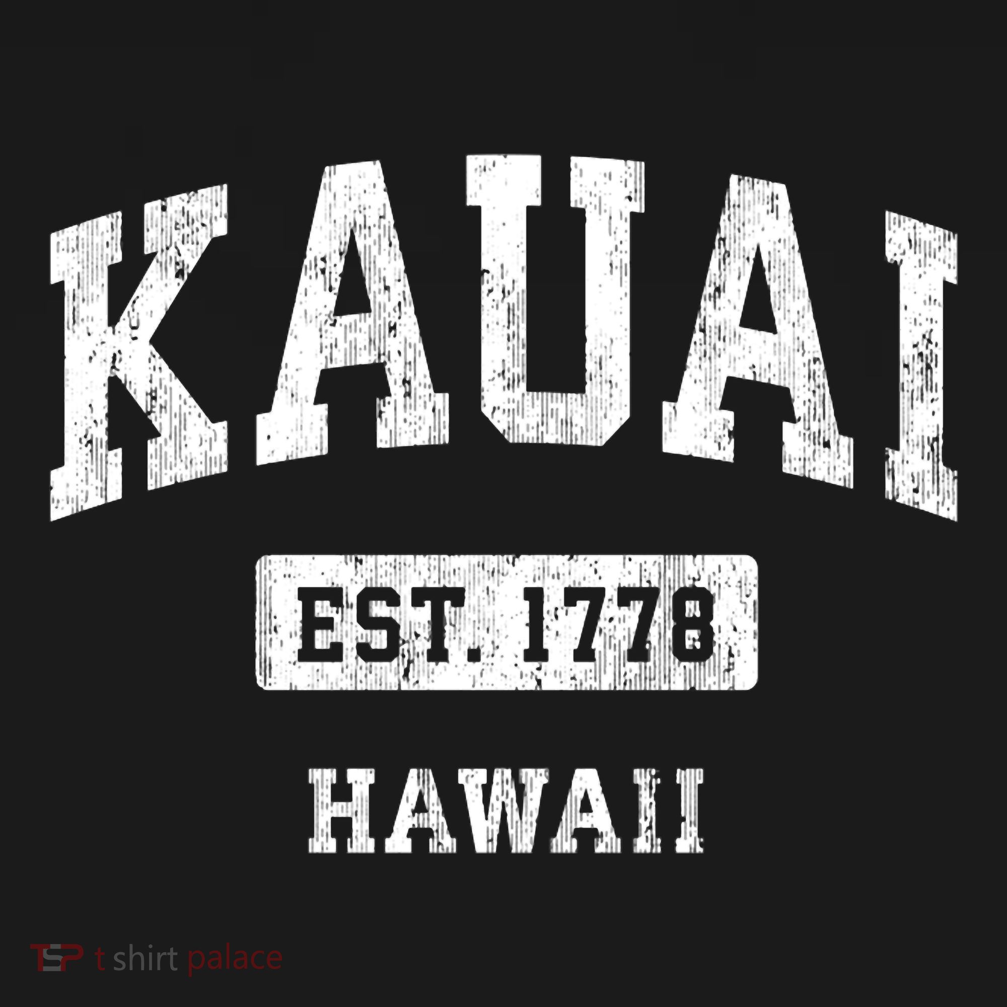 Kauai Hawaii Hi Vintage Sports Established T-Shirt
