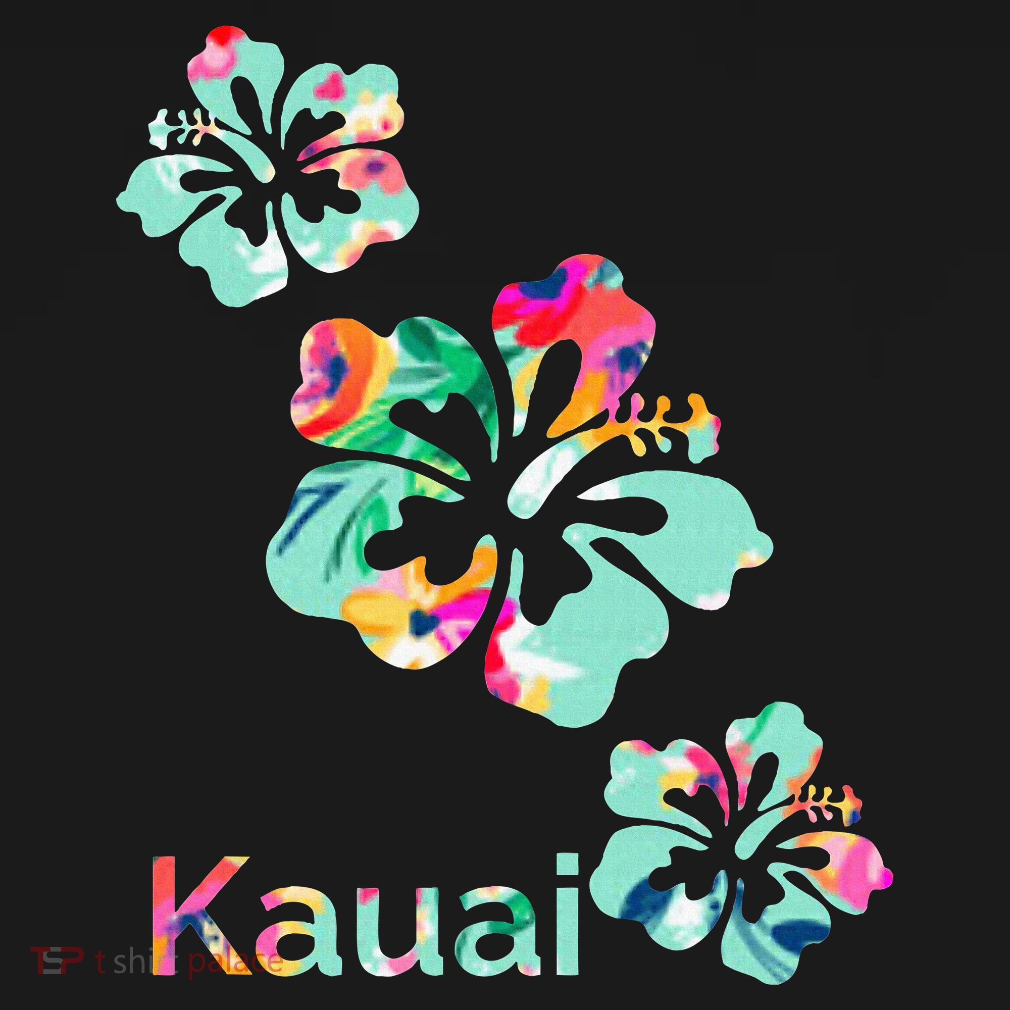 Kauai Hawaii Hawaiian Hibiscus Flowers Baby Bodysuit