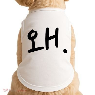 Korean Hangul Word Why Doggie Tank