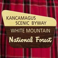 Kancamagus Highway White Mountain National Forest Gift Men's Flannel Plaid Pajama Pants thumb 2