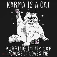 Karma is a Cat Purring in My Lap Cause It's Loves Me Ornament thumb 1