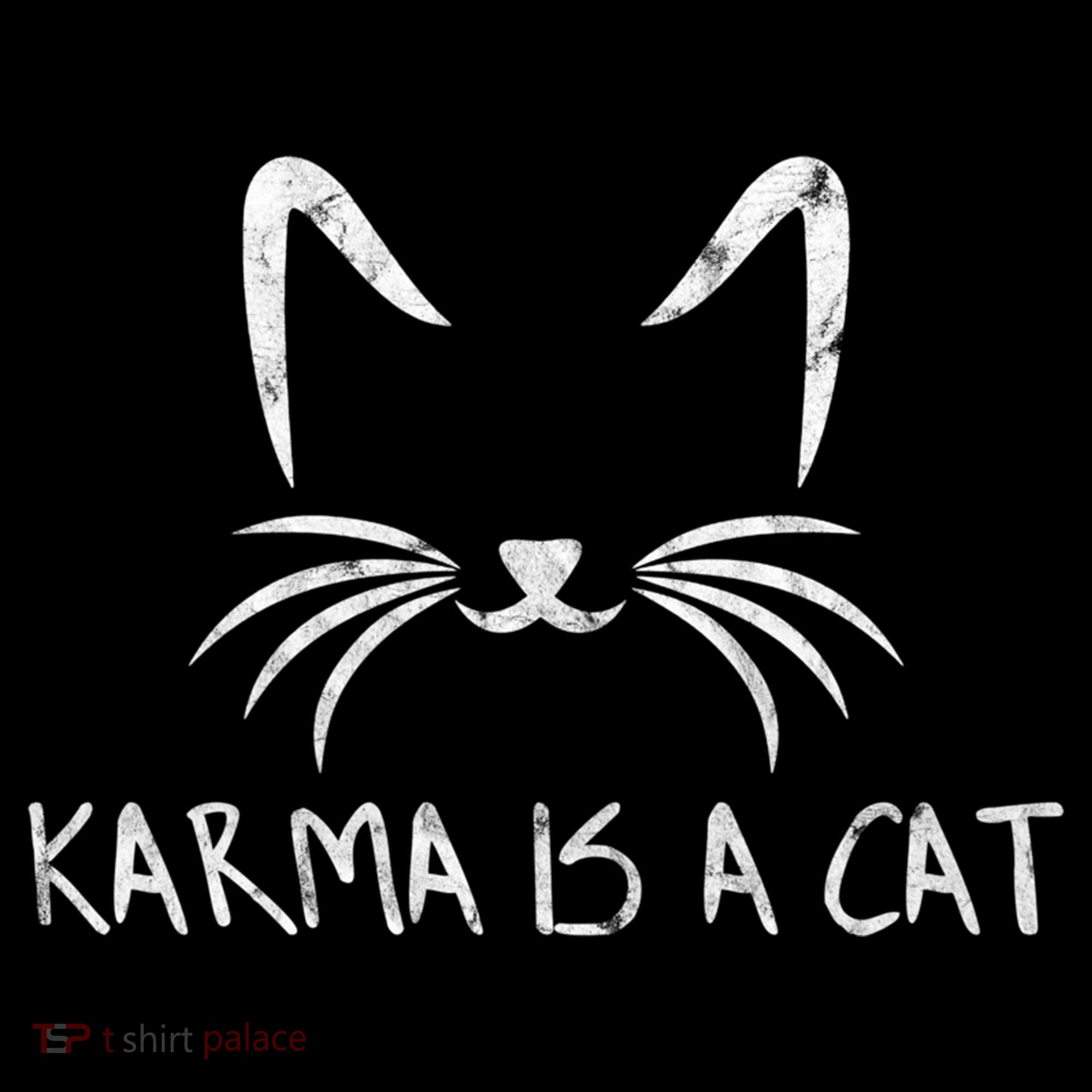 Karma Is A Cat Funny Cat Lover Gift Women's Hoodie