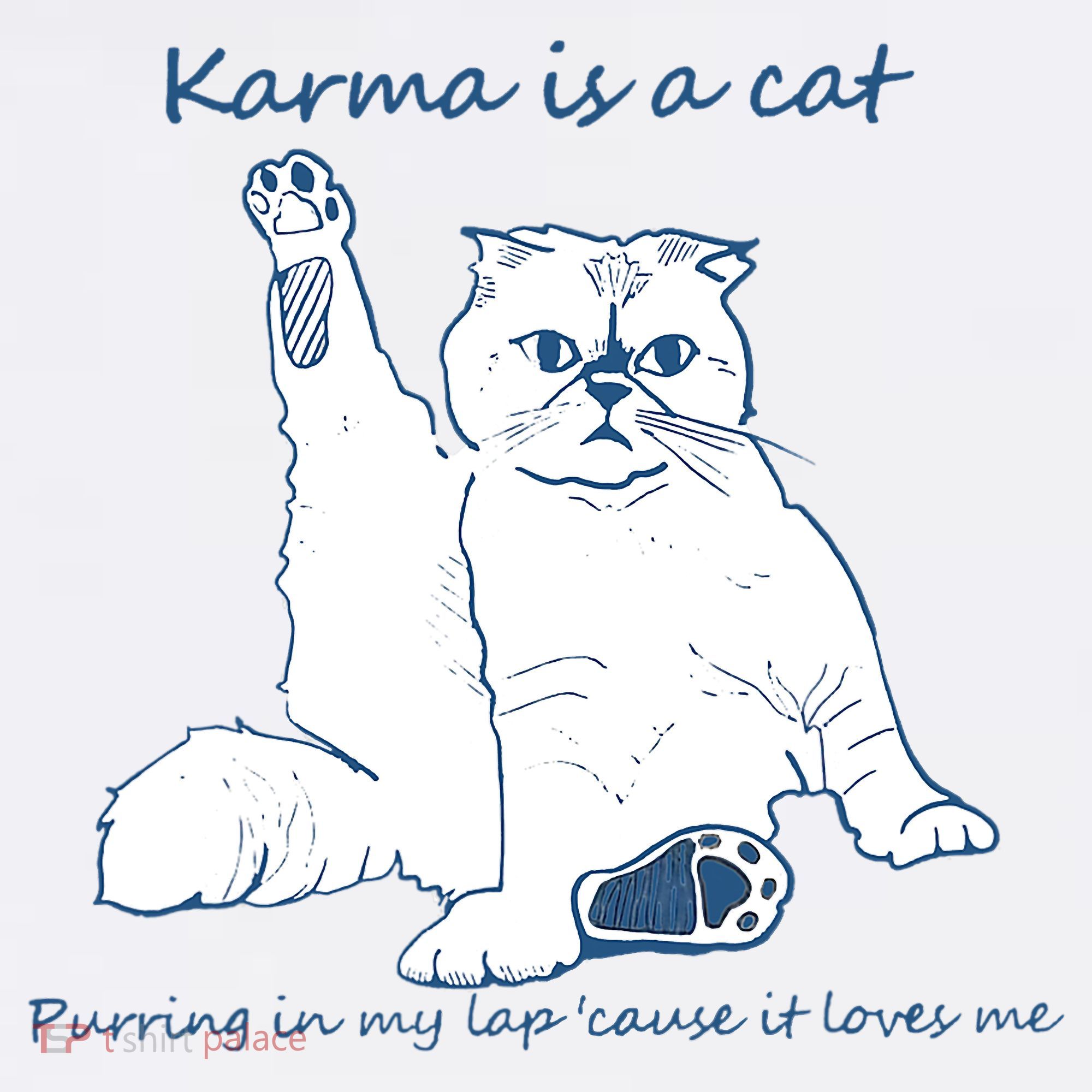 Karma Is A Cat Purring In My Lap Cause It Loves Me Cat Love Women's Hoodie