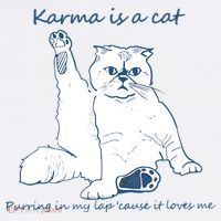 Karma Is A Cat Purring In My Lap Cause It Loves Me Cat Love Women's Tank Top thumb 5