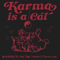 Karma Is A Cat Music Lover Fan Gift Beanie thumb 2