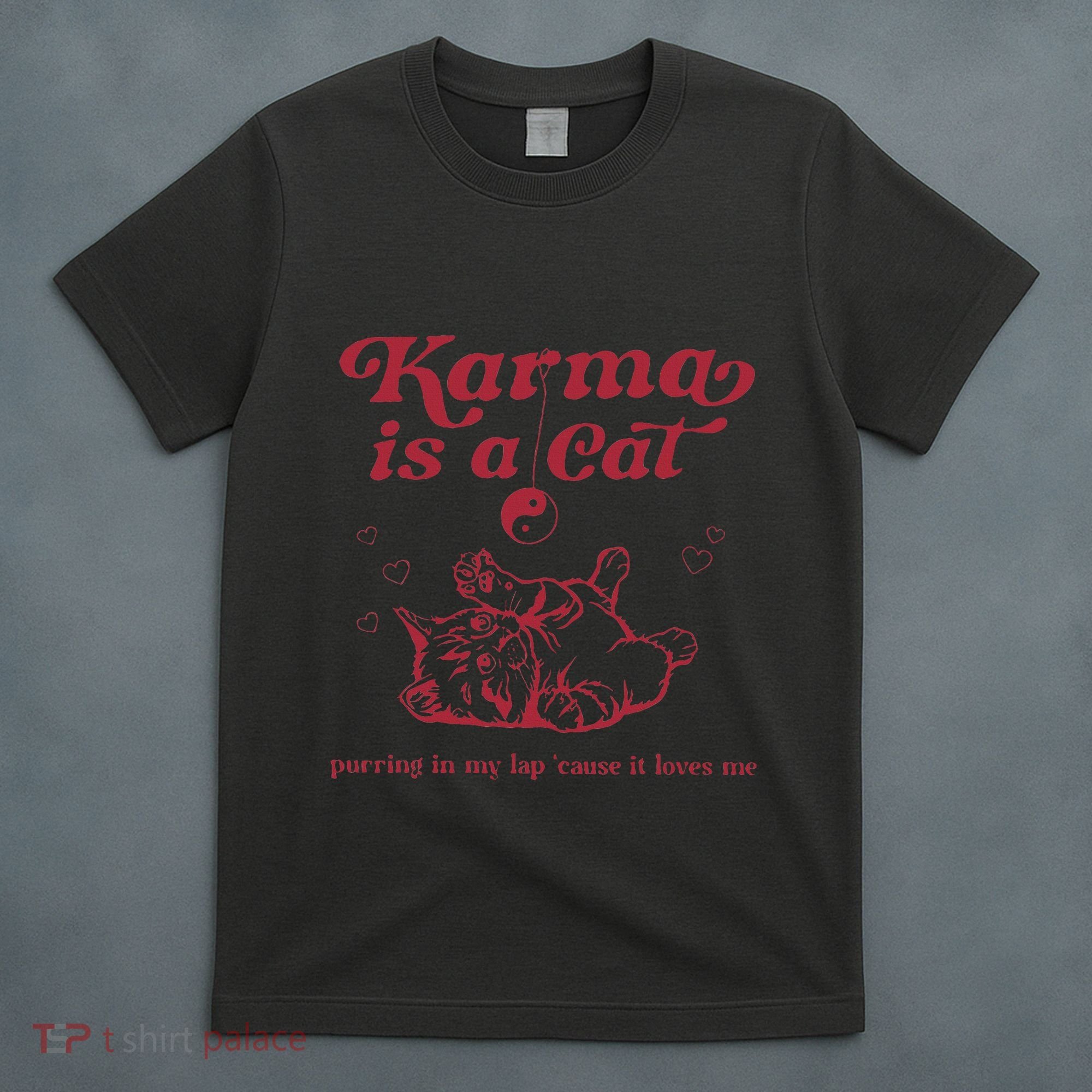Karma Is A Cat Music Lover Fan Gift T-Shirt