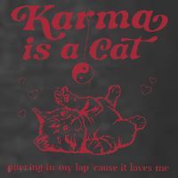Karma Is A Cat Music Lover Fan Gift Women's Hoodie thumb 2