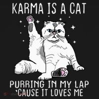 Karma Is A Cat Purring In My Lap Cause It Loves Me Cat Lover Essential Apron thumb 3