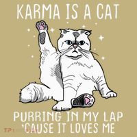 Karma Is A Cat Purring In My Lap Cause It Loves Me Cat Lover Essential Hoodie thumb 2