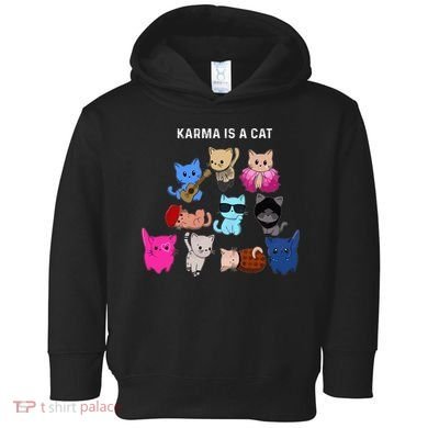 Karma Is A Cat Cat Funny Cat Lovers Toddler Hoodie