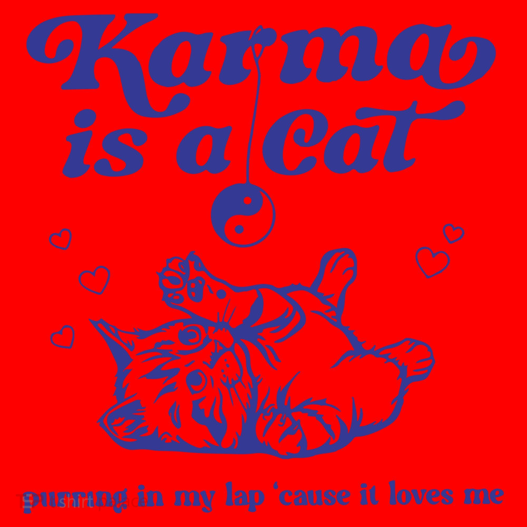 Karma Is A Cat Santa Hat