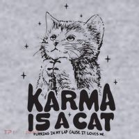 Karma Is A Cat Shirts Taylor Eras Cat Lover Women's Sweatshirt thumb 2