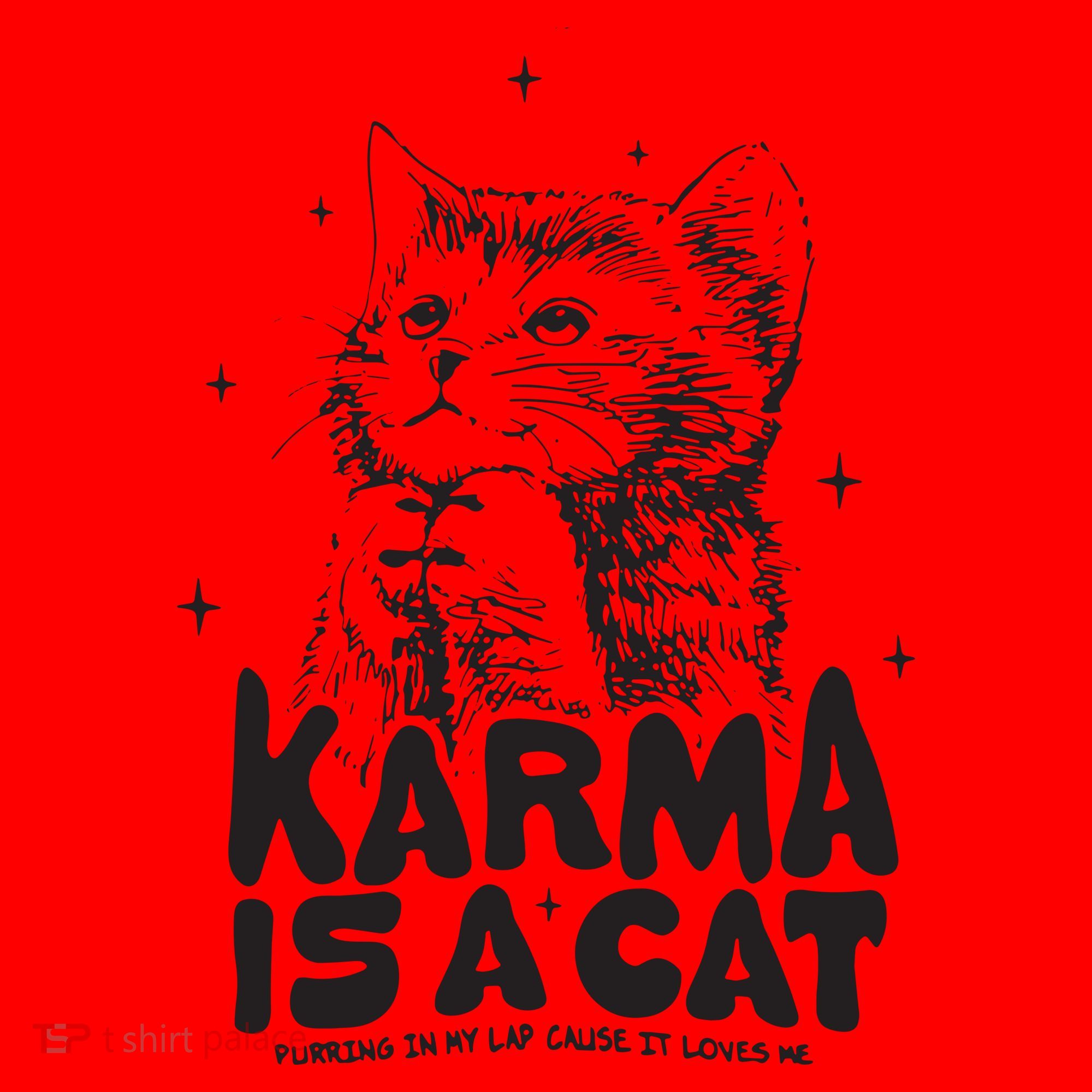 Karma Is A Cat Shirts Taylor Eras Cat Lover Santa Hat
