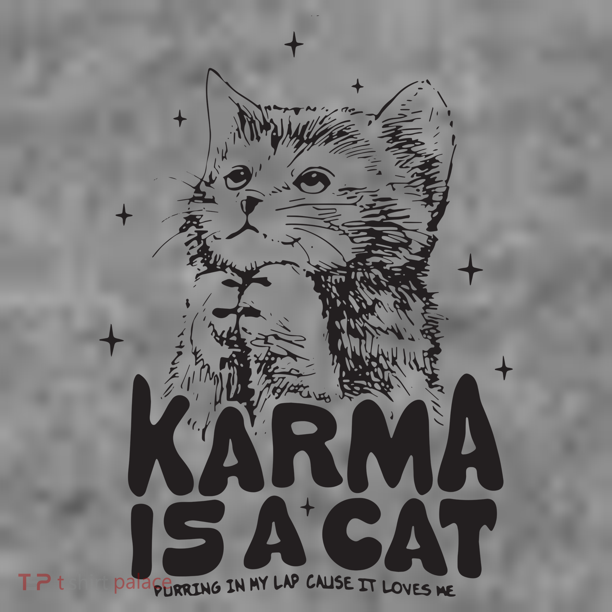 Karma Is A Cat Shirts Taylor Eras Cat Lover Toddler Hoodie