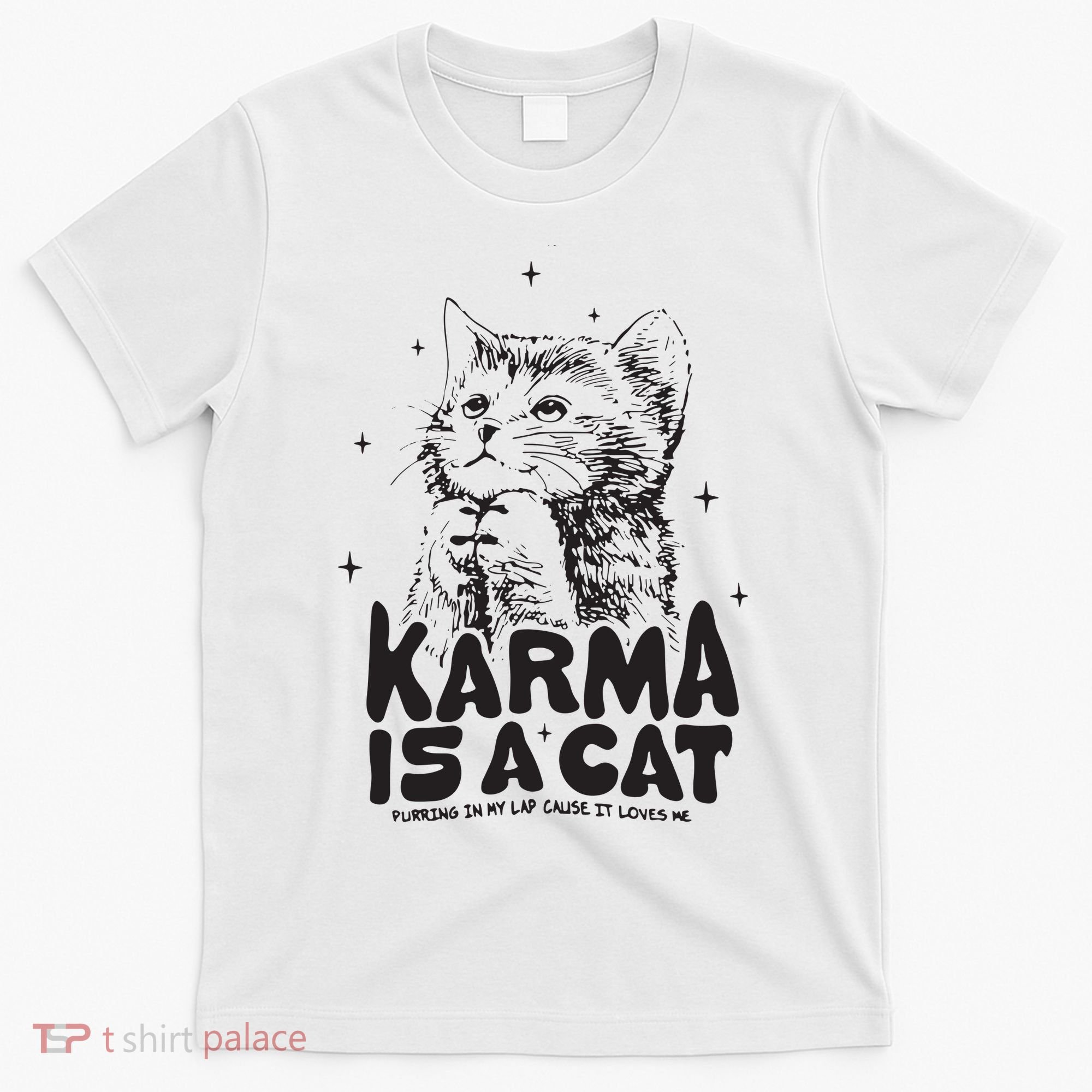 Karma Is A Cat Shirts Taylor Eras Cat Lover T-Shirt