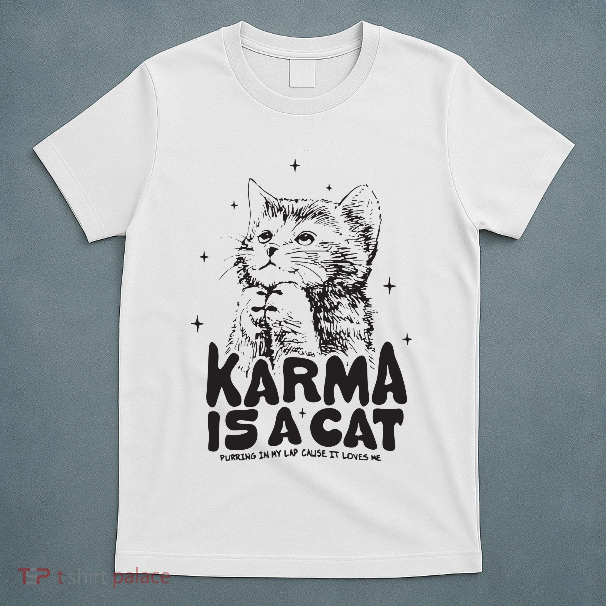 Karma Is A Cat Shirts Taylor Eras Cat Lover T-Shirt