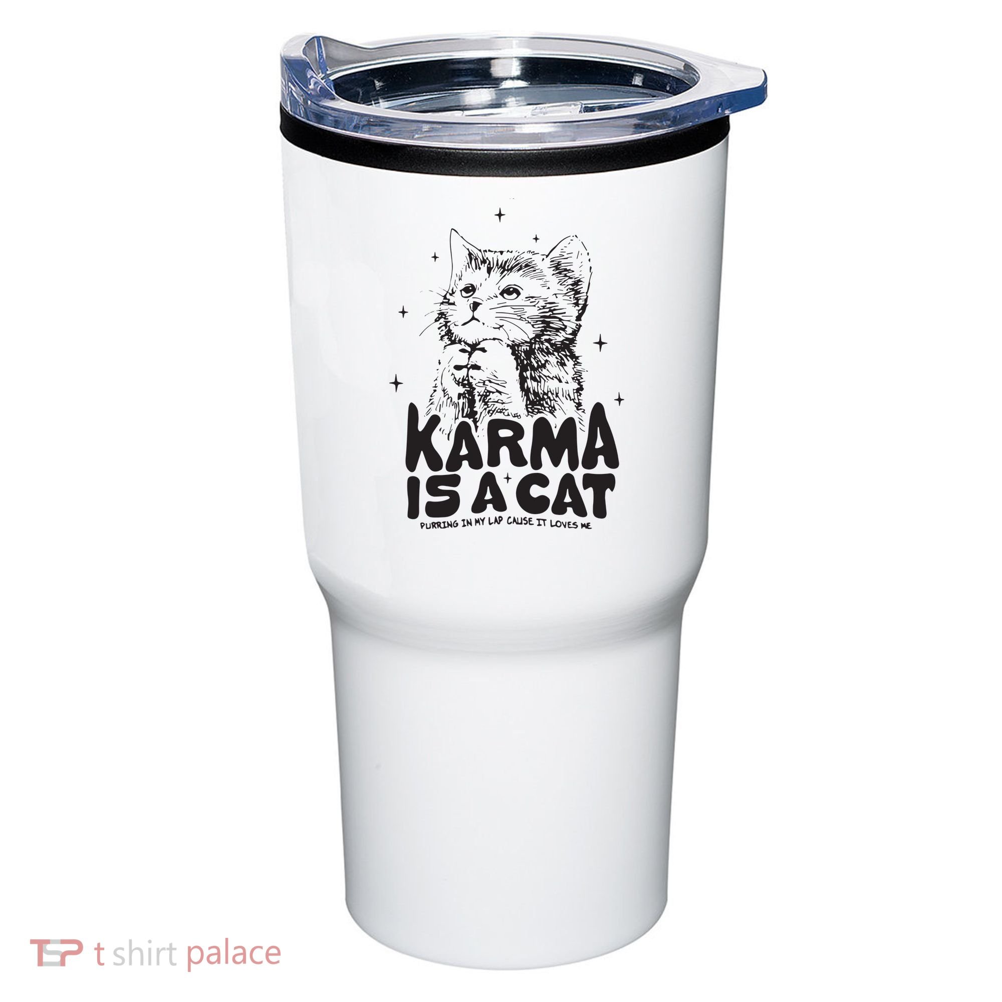 Karma Is A Cat Shirts Taylor Eras Cat Lover Tumbler