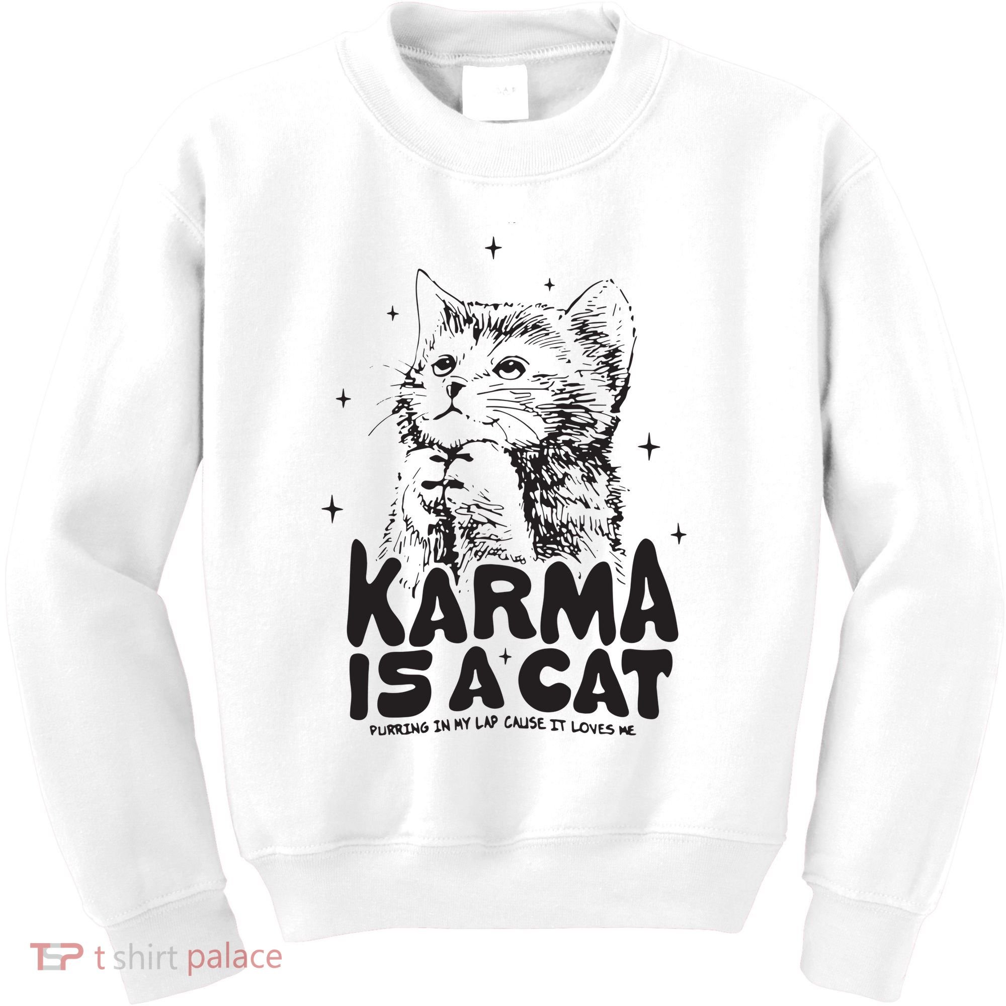 Karma Is A Cat Shirts Taylor Eras Cat Lover Kids Sweatshirt