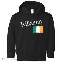 Kilkenny Ireland Flag Irish City Saint Patrick's Day Toddler Hoodie thumb 0