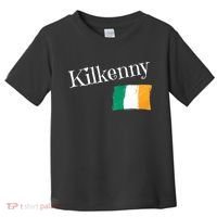 Kilkenny Ireland Flag Irish City Saint Patrick's Day Toddler T-Shirt thumb 0