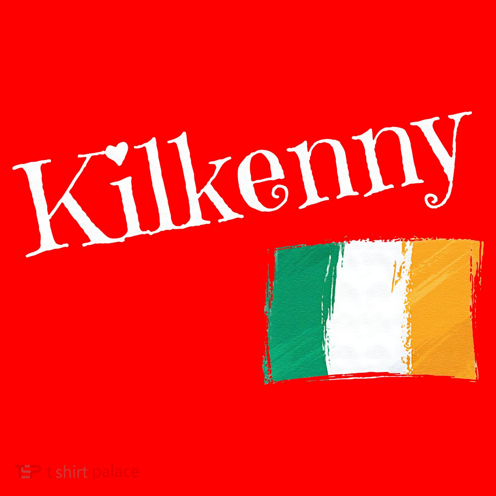 Kilkenny Ireland Flag Irish City Saint Patrick's Day Santa Hat