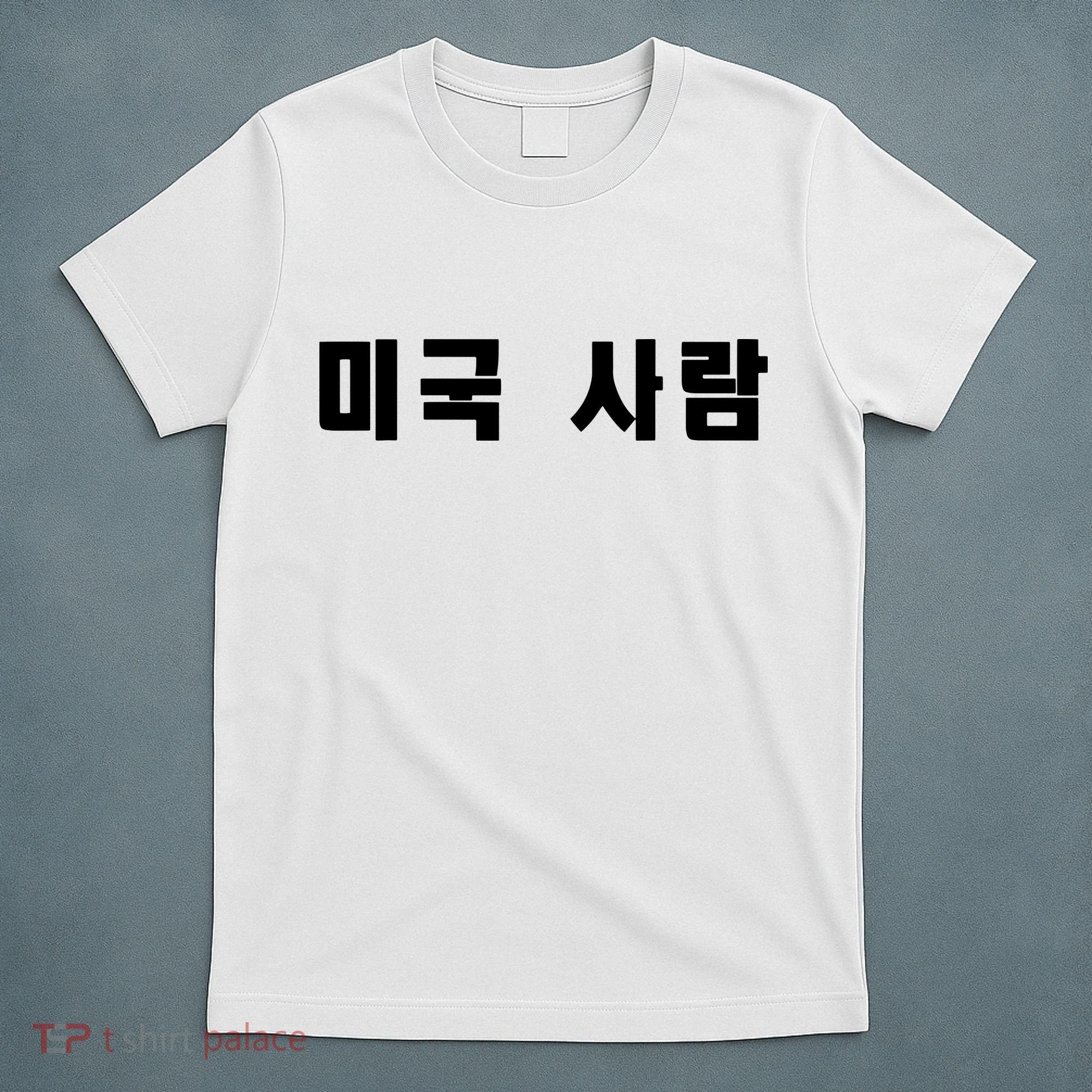 Korean In Hangul Writing That Says American Person T-Shirt