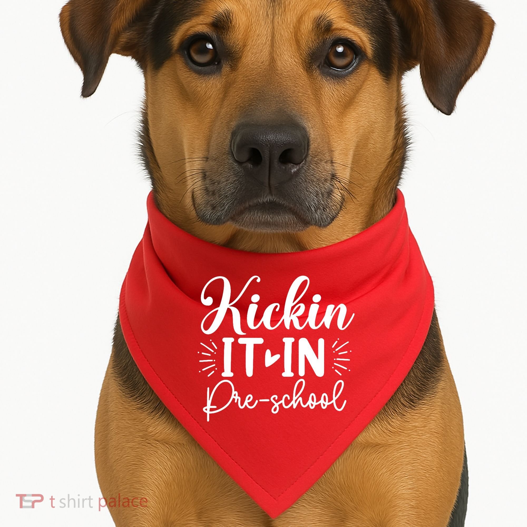 Kickin It In Pre School USA-Made Doggie Bandana