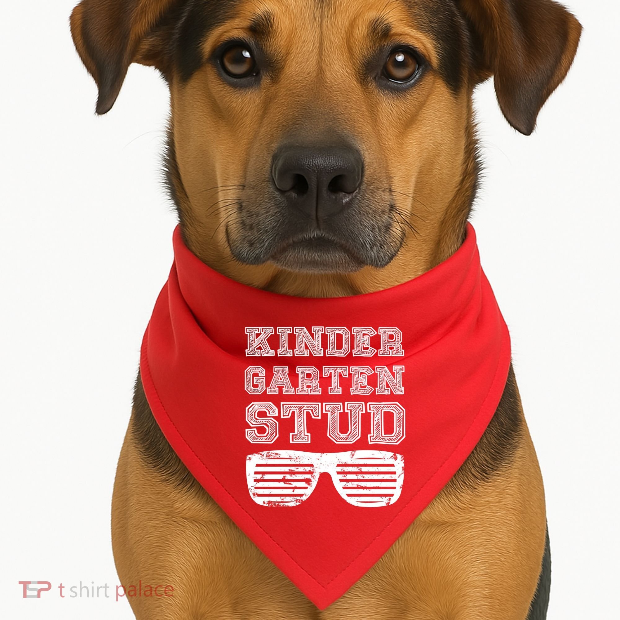 Kindergarten Stud USA-Made Doggie Bandana