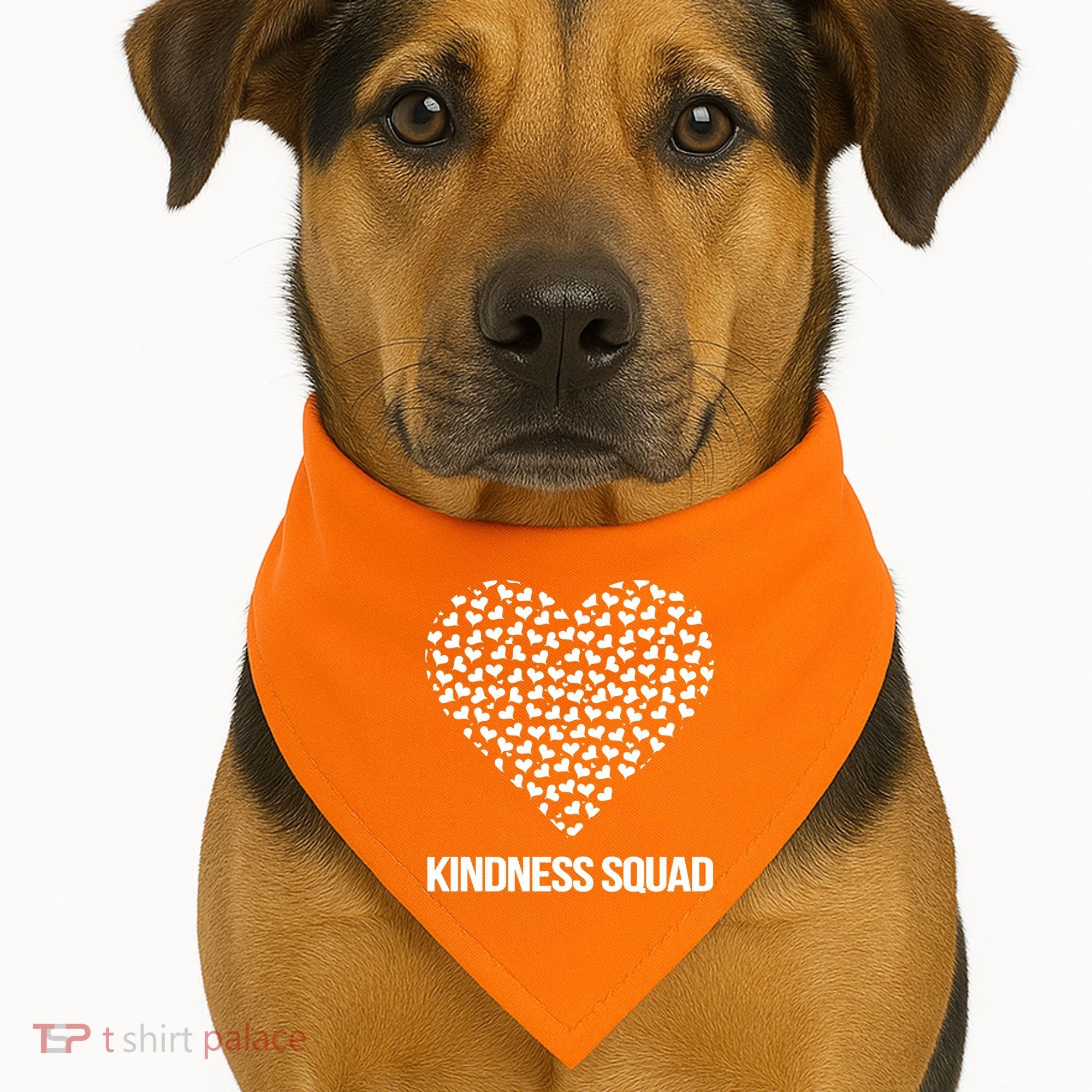 Kindness Squad Anti-Bullying Day USA-Made Doggie Bandana