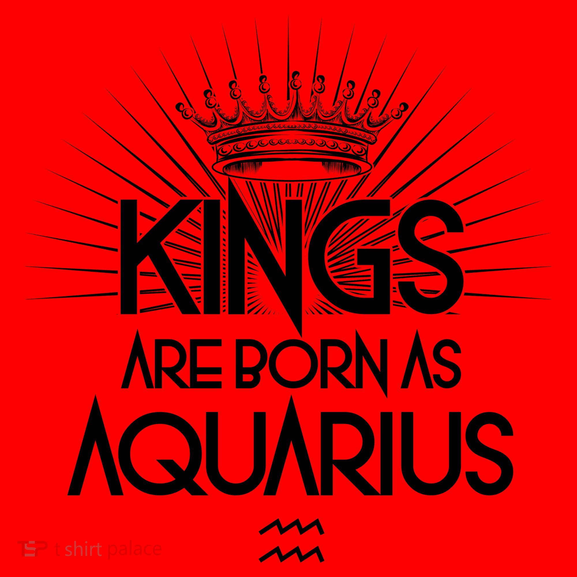 Kings Are Born As Aquarius Santa Hat