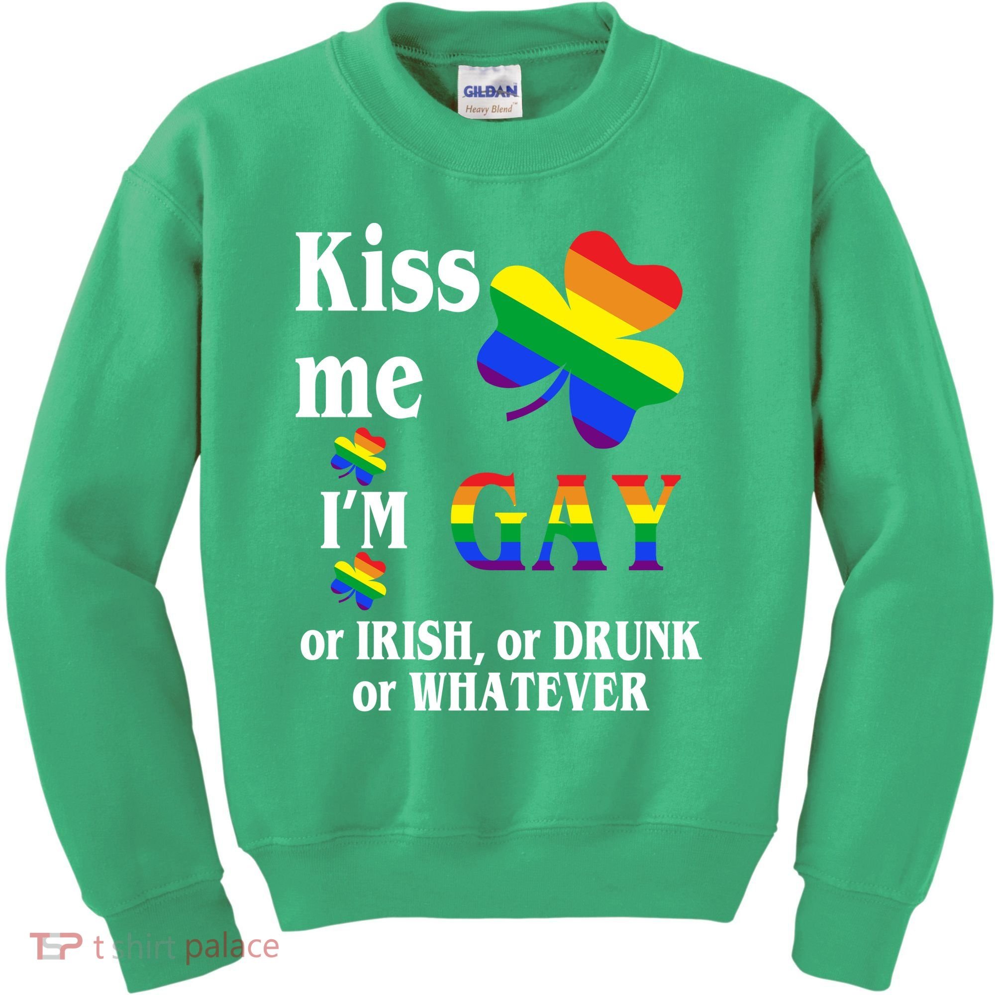 Kiss Me I'm Gay Or Irish Drunk Whatever Kids Sweatshirt