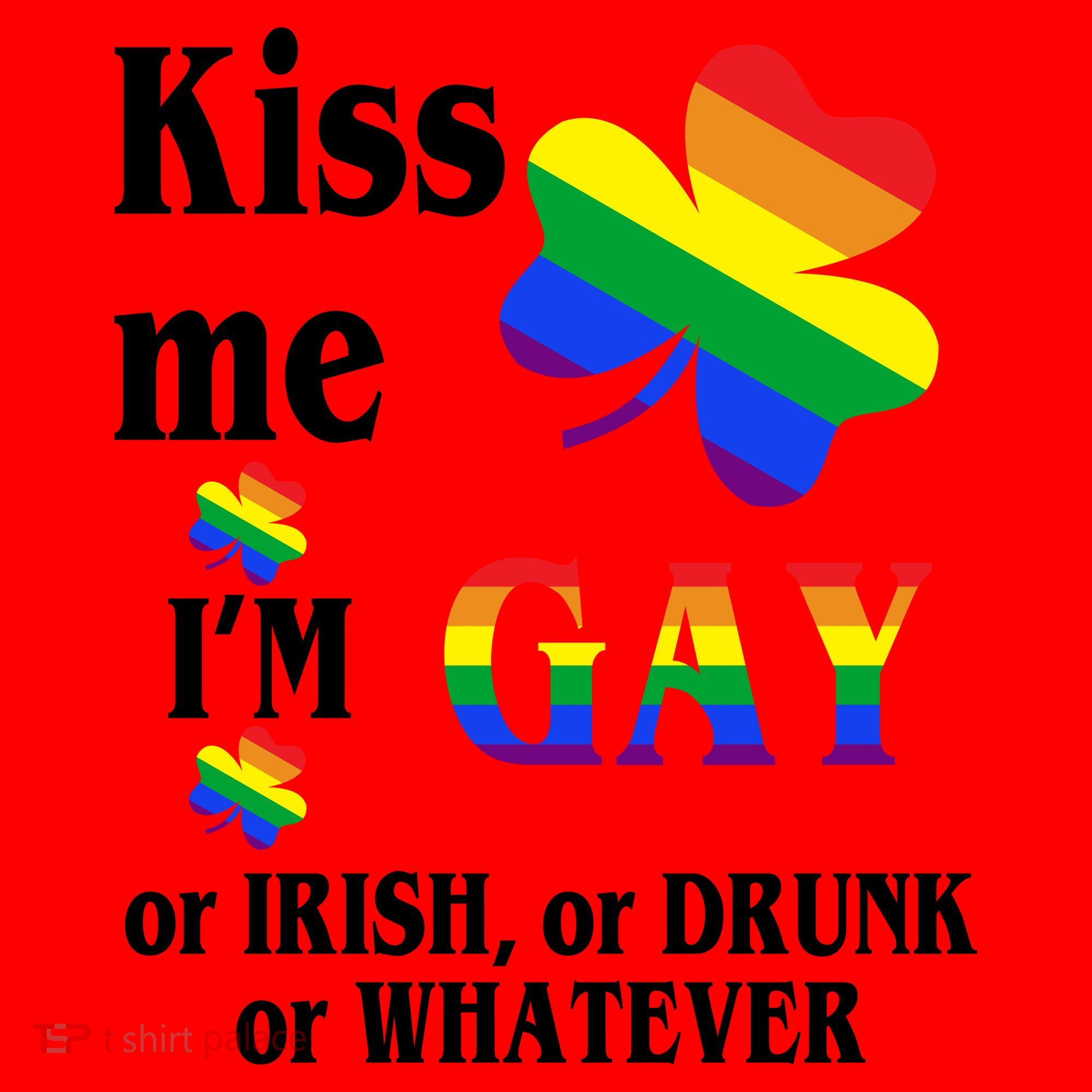 Kiss Me I'm Gay Or Irish Drunk Whatever Santa Hat