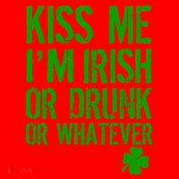 Kiss Me I'm Irish Or Drunk Whatever St Patricks Day Santa Hat thumb 1