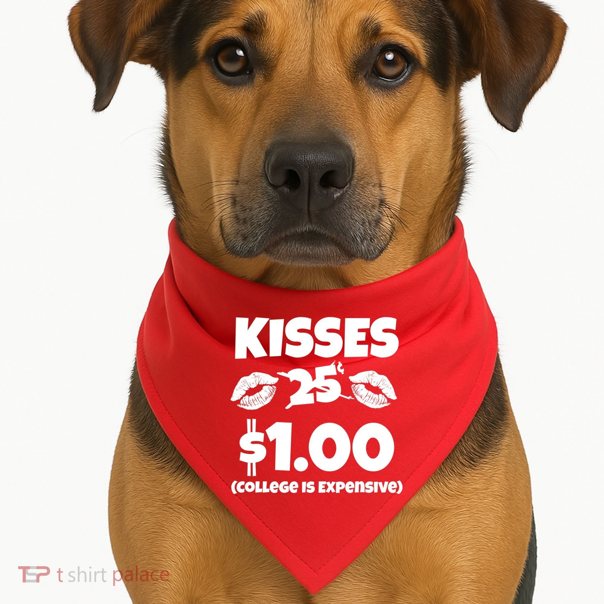 Kisses 1 Dollar College Is Expensive USA-Made Doggie Bandana