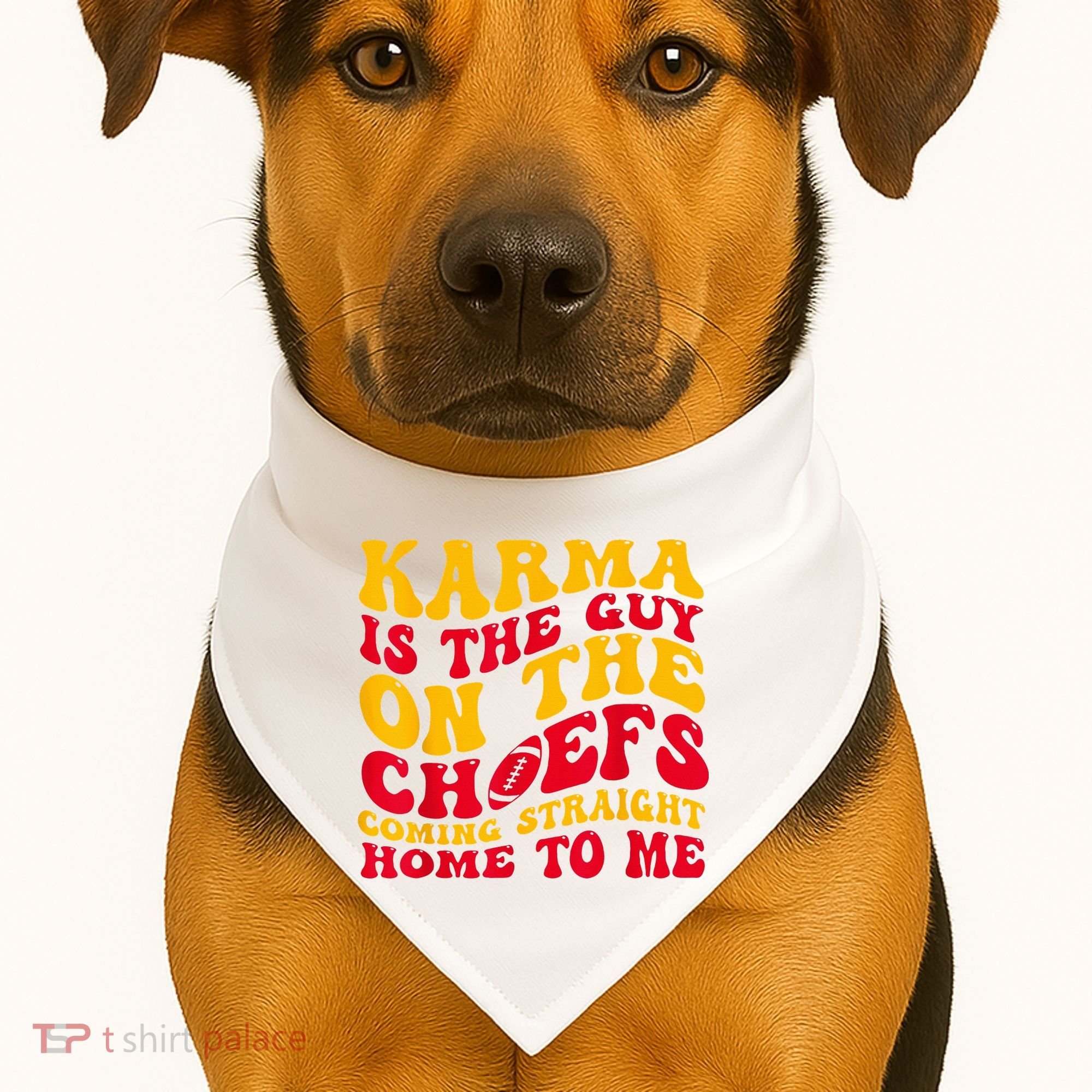 Karma Is the Guy on the Chief TRENDY  USA-Made Doggie Bandana